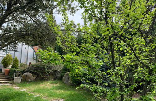 Villa con Jacuzzi exterior y Piscina cubiertos - Foto 11