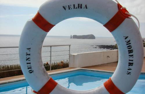 QVA - Quinta Velha das Amoreiras - Photo 63