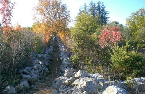 Gîte du Ranc de Figère - Photo 29