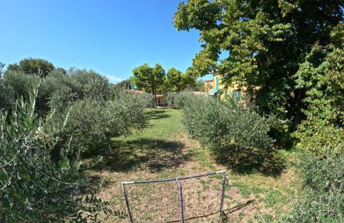 Agriturismo Gardenali - Foto 59