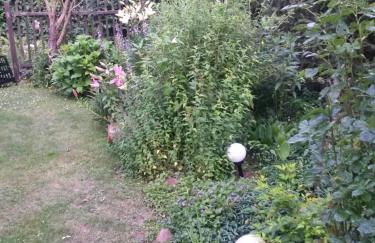 Ruhe geniessen bei Kulbes - Foto 31