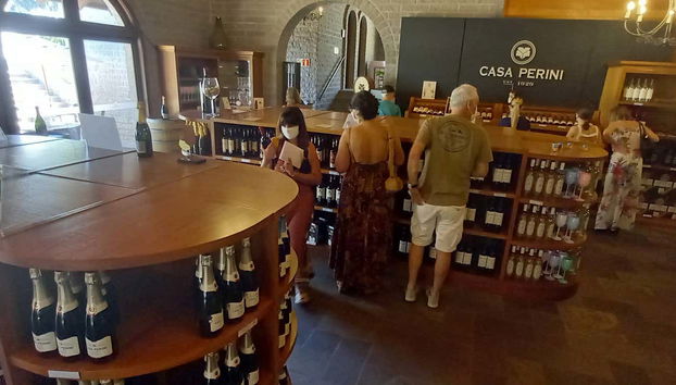 Visitando la bodega Casa Perini