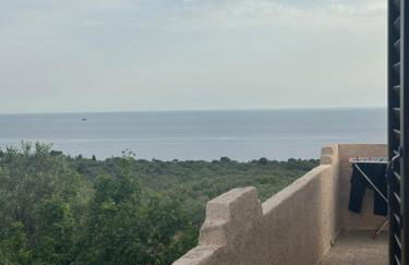 Mani Spot Nezoulas - Photo 21