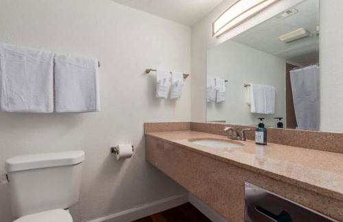 Tempe Oasis - Foto 19