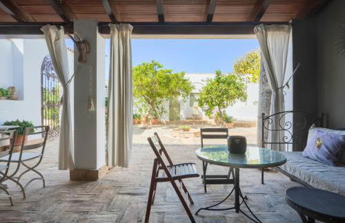 Finca Olivo Llorón - Foto 47