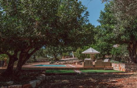 Monte 3 Alfarrobeiras - Foto 47