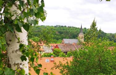 Ferienhaus Blaue Blume mit 11 kW Ladestation, Kamin, Terrasse, eingezäuntem Garten, Sauna, WLAN, Netflix, 2 Hunde willkommen! - Foto 62