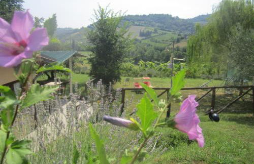 Agriturismo le Spighe - Fattoria Bertaccini - Foto 1