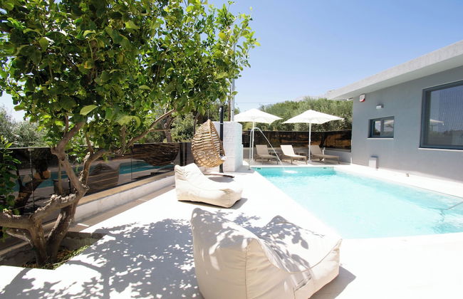 Olive Tree - Foto 29