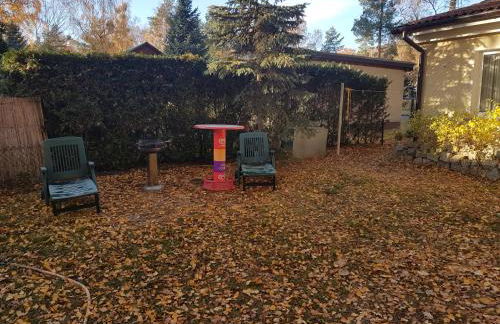 Gemutlicher Ferienbungalow am Felsensee bei Pretzien - Foto 3