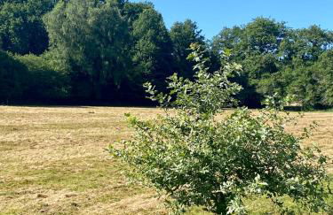 Home in Champagnac La Riviere with shared pool - Foto 8