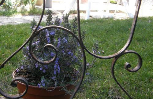 Brig'Gîte - Photo 53