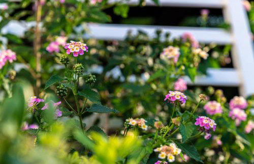 Vodice Villa Ruza - Foto 32