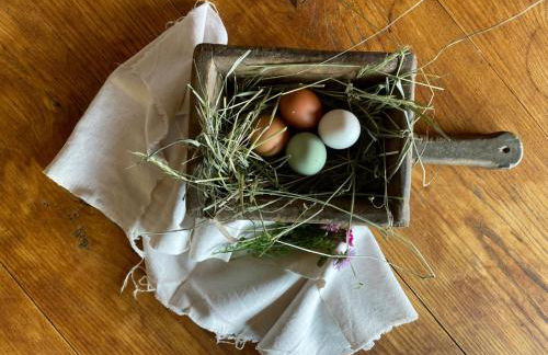 Schallerhof Sterzing - Deine Auszeit mit Ausblick in unseren Ferienwohnungen auf dem Bergbauernhof in Südtirol - Foto 25