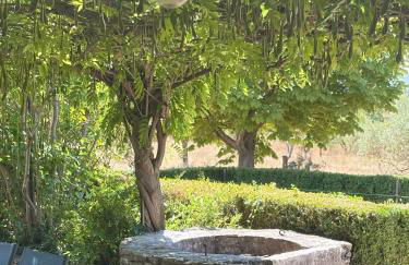 Bastidon Silvestre - Photo 47