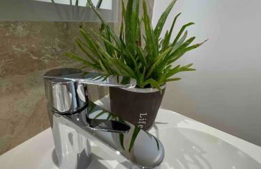 Duplex indépendant avec clim et parking St Donat - Foto 7