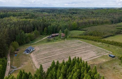 Okno na winnicę - Foto 50