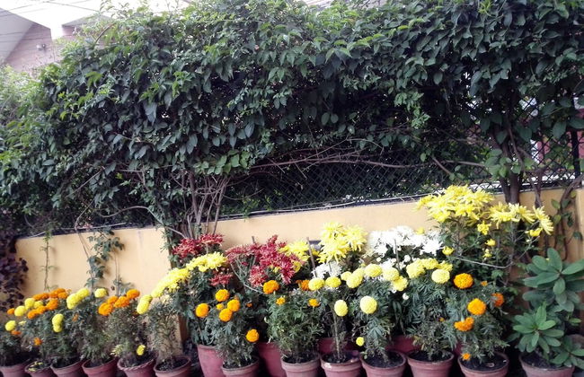 Sagarmatha Apartment Bed & Breakfast - Foto 42