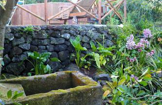 Quinta do Paraíso - Photo 19