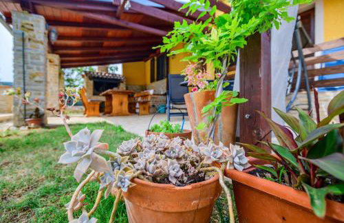 Sunny house - Foto 22