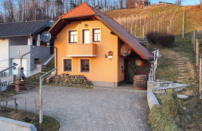 Vineyard cottage Tramte - Foto 17