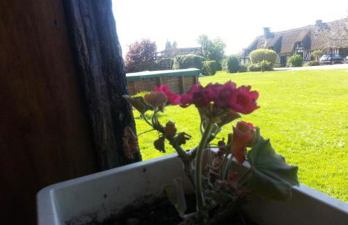 Gites de la Ferme de l'Eglise - Foto 65