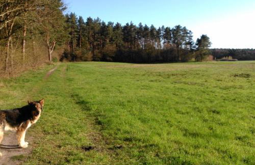 Holiday Home Finnhaus by Interhome - Foto 33