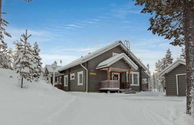 Päivänsäde 8 lapinkulta - Photo 4