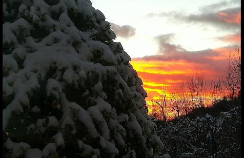 Appartamento Il Bosco Incantato - Foto 30