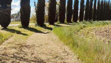 Podere Cartaio Bio Farm, private pool, AirC - Foto 2, Garden view