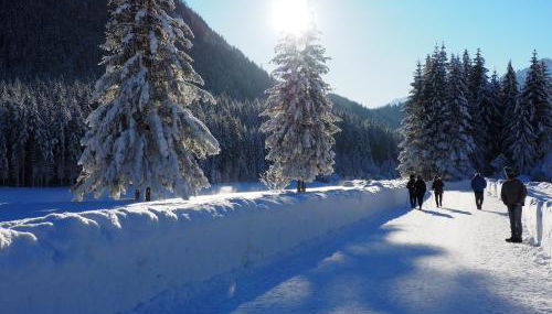 Appartamenti Residence Rodolon Fontanazzo - Foto 4