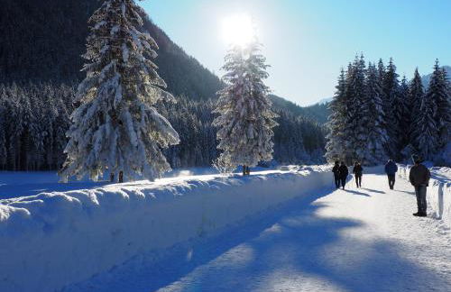 Appartamenti Residence Rodolon Fontanazzo - Foto 4