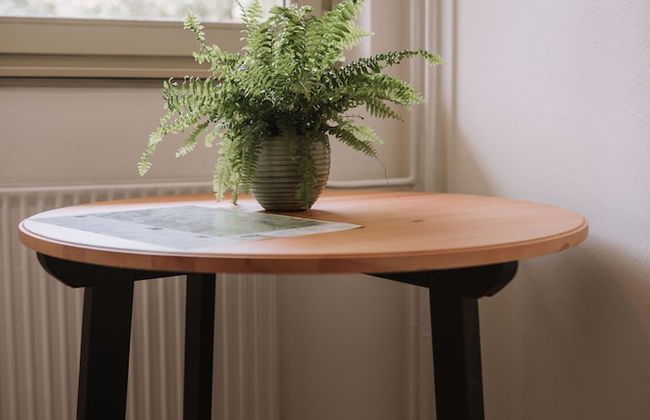 Aparthotel Triglav - Photo 37