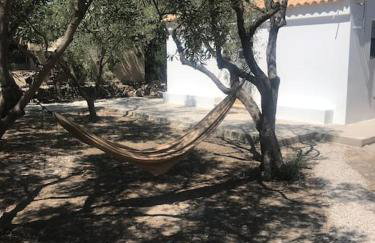 Πέτρινη κατοικία στην Αίγινα - Stone House in Aigina - Foto 24