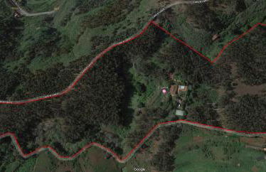 Dúplex de invitados en medio del bosque - Foto 30