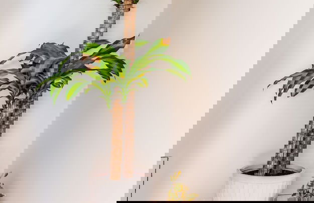 Edmond Vibes Barrio de Salamanca - Foto 26