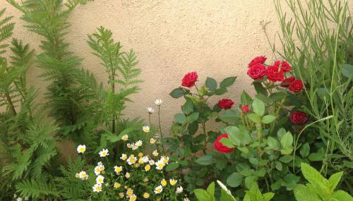 Casa Rural Runa - Foto 2