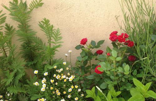 Casa Rural Runa - Foto 2