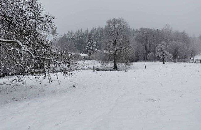 Forest-edge Stay, Burtonville - Photo 38