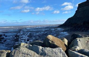 Harbour Heights Whitby - Foto 68