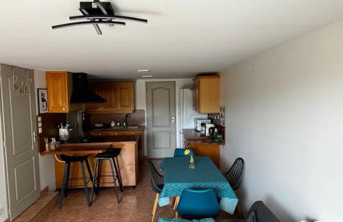 Gîte urbain au calme en rez de jardin proche Groupama stadium salle Arena EUREXPO Lyon - Foto 12