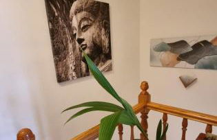 Bali Beach Puzol relax en la playa cerca de Sagunto y Valencia - Photo 1