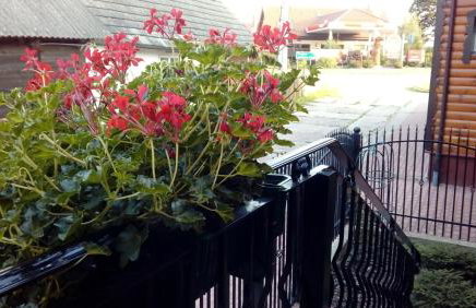 Cztery Pory Roku - Foto 11