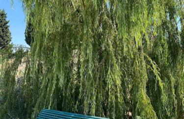 La Maison de Léo - Foto 28