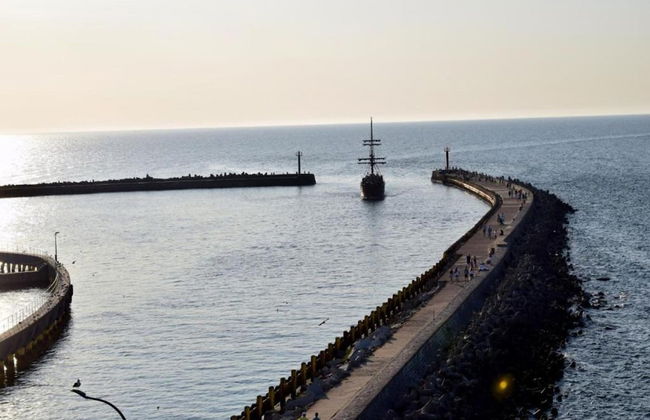 Apartment in Dar?owo With Garden - Photo 19