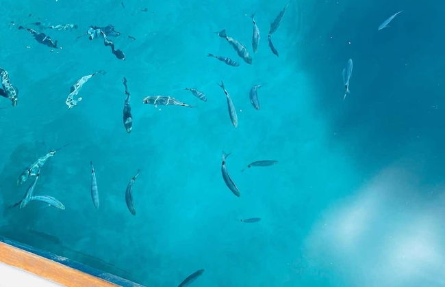 Paseo en velero por el Cabo Caccia - Foto 3