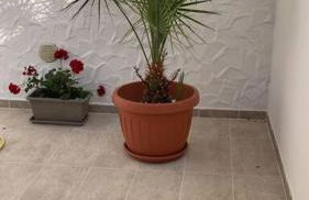 Casa mosaico IUN R9770 - Foto 29