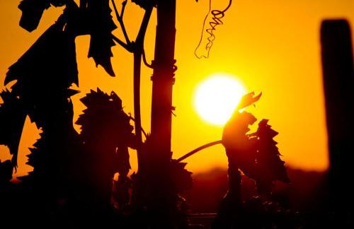 Agriturismo La Serra - Foto 58