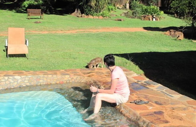 Caracal Lodge - Foto 18