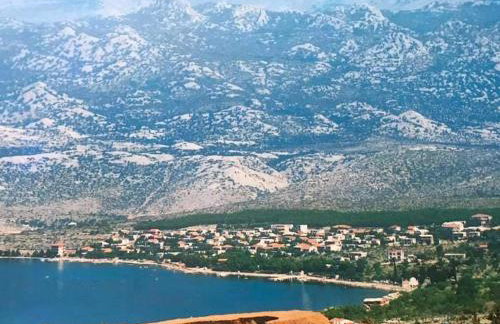 Matek family & studio apartment Rovanjska - Foto 35